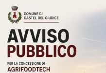 bando agrifoodtech