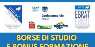 Enti Bilaterali del Molise, in arrivo 40mila euro per famiglie, studenti e imprese bando ebrecebrat