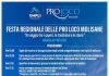 Festa Regionale delle Pro Loco a Castelpetroso: tradizioni, sapori e turismo protagonisti il 20 settembre festa regionale pro loco 2026