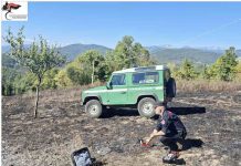 Roccasicura, individuato il responsabile dell’incendio boschivo in località “Vignale” incendio boschivo