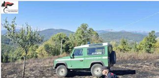 Roccasicura, individuato il responsabile dell’incendio boschivo in località “Vignale” incendio boschivo