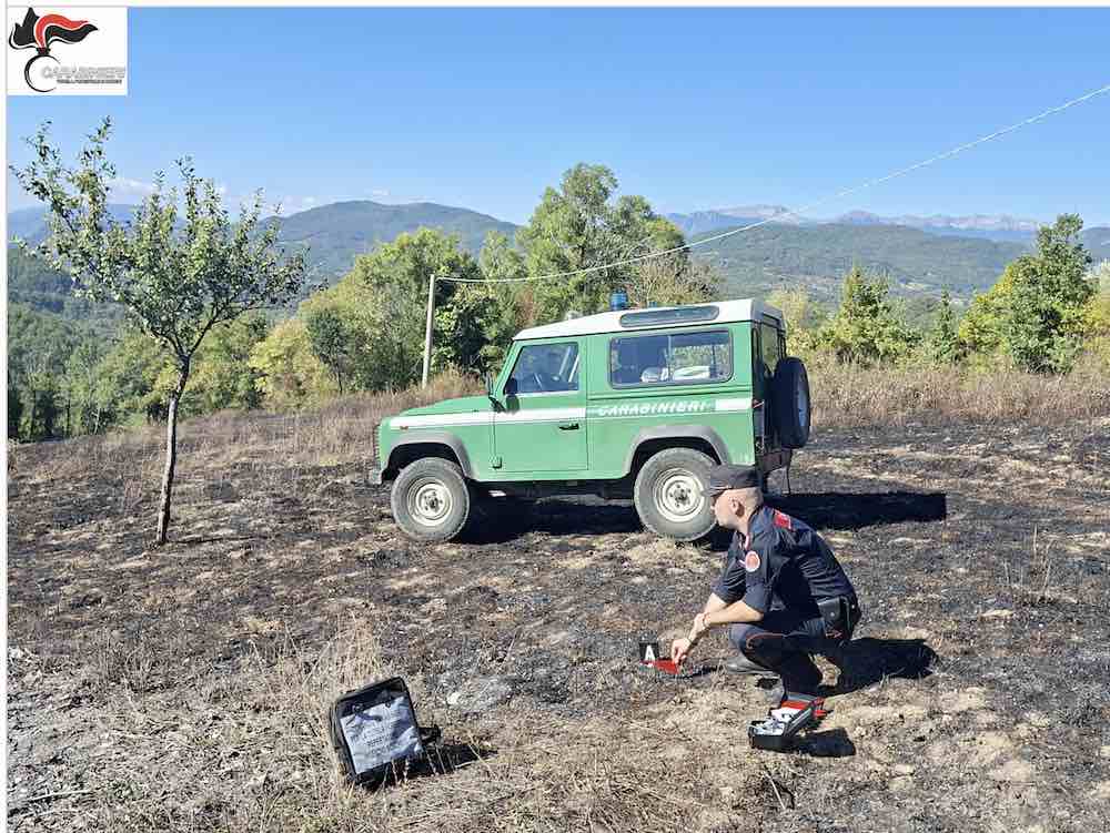 incendio boschivo