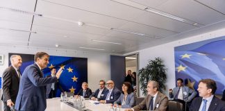 Automotive, Di Lucente: “Serve un’Europa più competitiva per difendere lavoro e territori” incontro automotive
