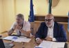 molise avviso step