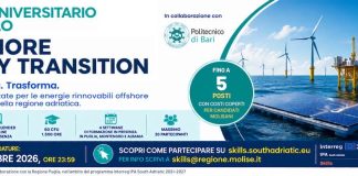 Progetto europeo SKILLS: aperte le candidature al Master “Off-Shore Energy Transition” skills locandina master bari