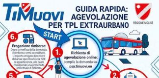 Trasporto pubblico, nuove agevolazioni per gli studenti: la Regione Molise investe sulla mobilità dei giovani timuovi