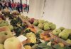 9° festa della mela