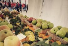 9° festa della mela