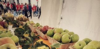 9° festa della mela