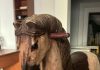 cavallo
