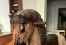 cavallo