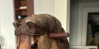 cavallo