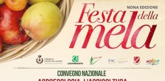 Agroecologia e rilancio delle aree interne a Castel del Giudice convegno agroecologia 11 ottobre 2026