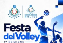 Fipav Molise, nuova organizzazione per le rappresentative festa volley 2026
