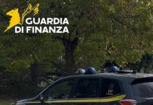 Hashish e denaro dello spaccio sequestrati a Campobasso: denunciato un giovane finanza campobasso 29 ottobre 2026