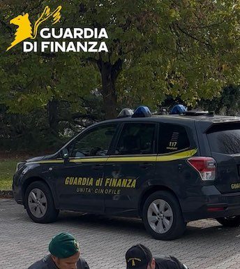 Hashish e denaro dello spaccio sequestrati a Campobasso: denunciato un giovane finanza campobasso 29 ottobre 2026