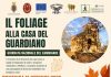 folliage 11 ottobre 2026