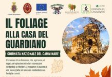folliage 11 ottobre 2026