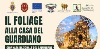 Nel Bosco Faiete arriva il trekking tra i colori del foliage autunnale folliage 11 ottobre 2026