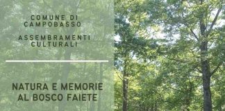 Al via a Campobasso cinque incontri dedicati a persone con demenza e Alzheimer natura e memorie