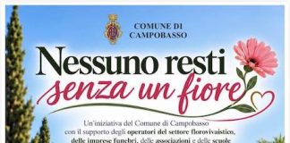 Campobasso lancia il progetto del “Fiore sospeso” per le tombe dimenticate nessuno resti senza un fiore