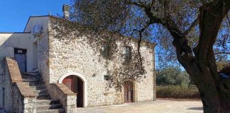 Venafro, riapre la Sala Panel dell’olio: sabato inaugurazione e convegno sala panel venafro