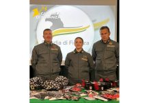 GdF, sequestrati oltre 7mila articoli di Halloween non sicuri tra Campobasso, Termoli e Larino