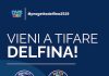 tifoseria dvs kids